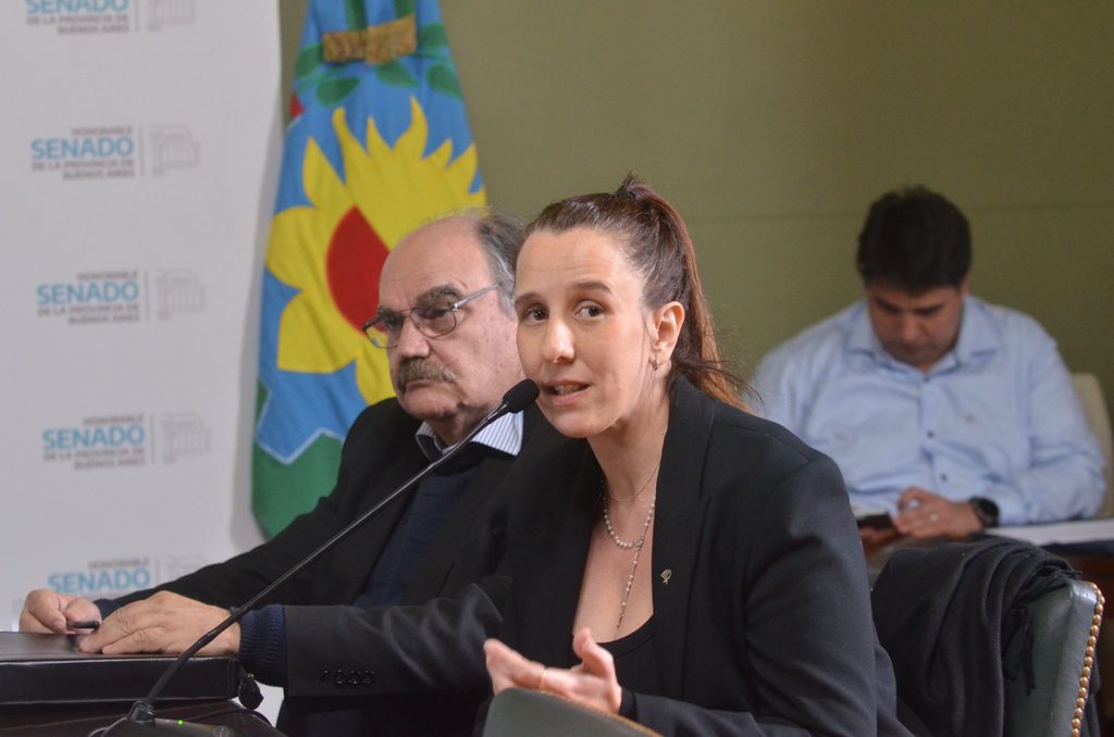 Diputados: el proyecto para instituir la figura de cuidado permanente fue impulsado por la diputada Lucía Iañez.